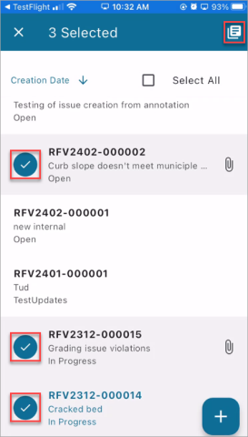 Construct PM - Issues Batch Report