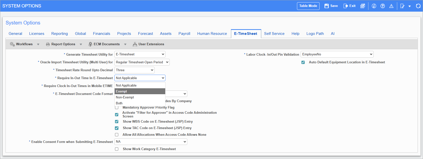 Construct ESS - Timesheet Entry