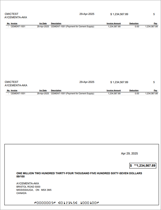 Accounts Payable - Standard AP Check Formats